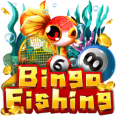 Câu Cá Bingo x88 pro